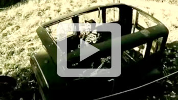 video-image2
